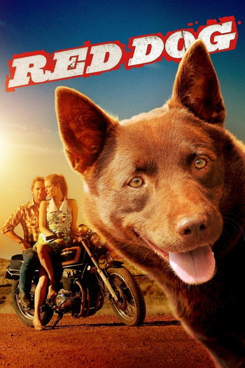 Poster for the movie «Red Dog»