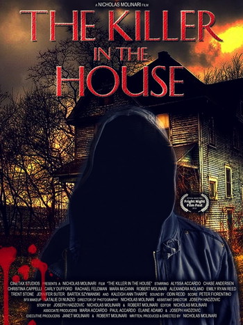 Poster for the movie «The Killer in the House»