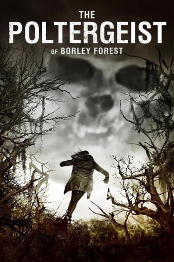 Poster for the movie «The Poltergeist of Borley Forest»