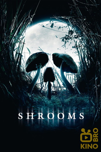 Poster for the movie «Shrooms»