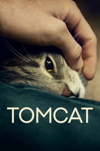 Poster for the movie «Tomcat»