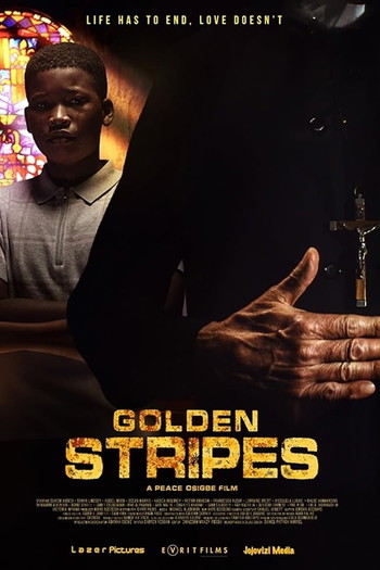 Poster for the movie «Golden Stripes»