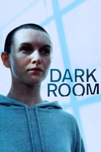 Poster for the movie «The Dark Room»