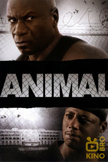 Poster for the movie «Animal»