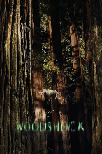 Poster for the movie «Woodshock»