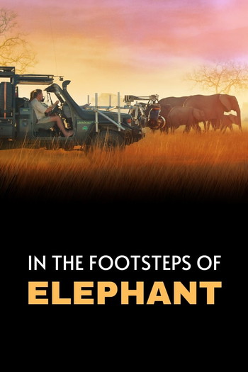 Poster for the movie «In the Footsteps of Elephant»