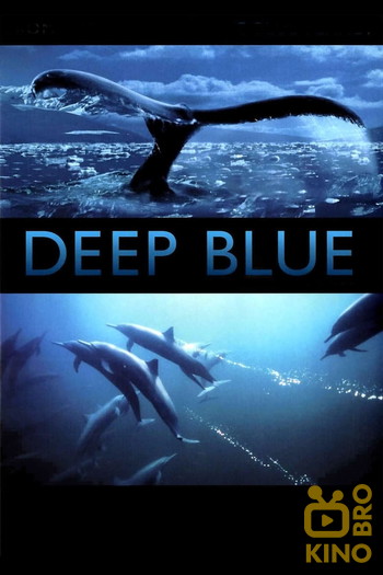 Poster for the movie «Deep Blue»