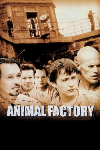 Poster for the movie «Animal Factory»