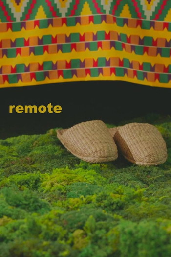 Poster for the movie «Remote»