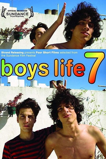 Poster for the movie «Boys Life 7»