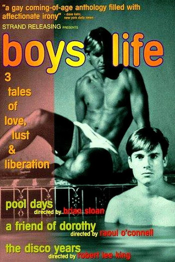 Poster for the movie «Boys Life»