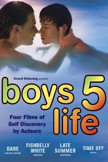 Poster for the movie «Boys Life 5»