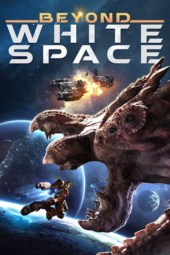 Poster for the movie «Beyond White Space»