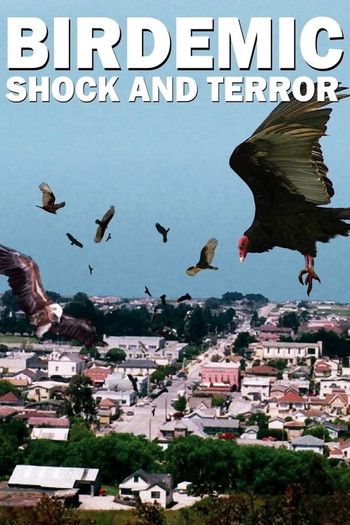 Poster for the movie «Birdemic: Shock and Terror»