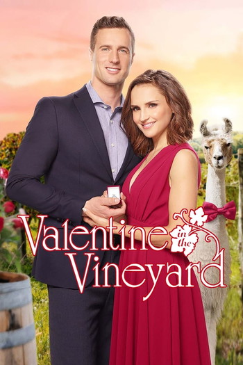 Poster for the movie «Valentine in the Vineyard»