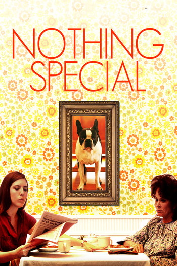 Poster for the movie «Nothing Special»