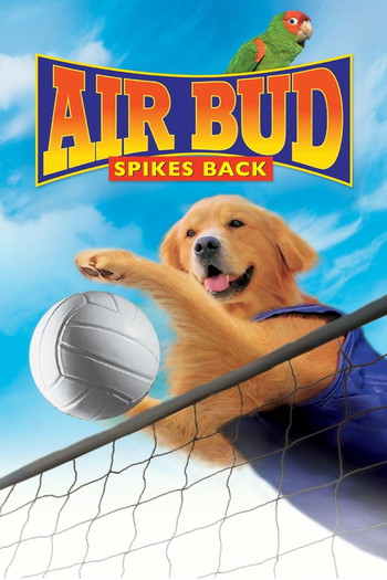 Poster for the movie «Air Bud: Spikes Back»