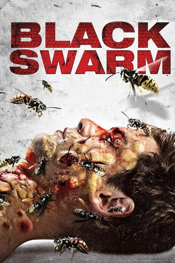 Poster for the movie «Black Swarm»