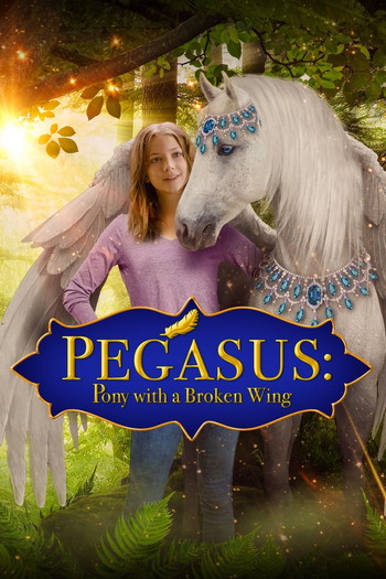 Poster for the movie «Pegasus: Pony With a Broken Wing»