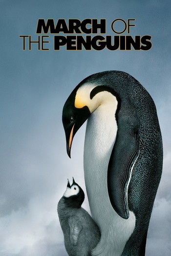 Poster for the movie «March of the Penguins»