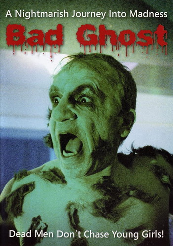 Poster for the movie «Bad Ghost»