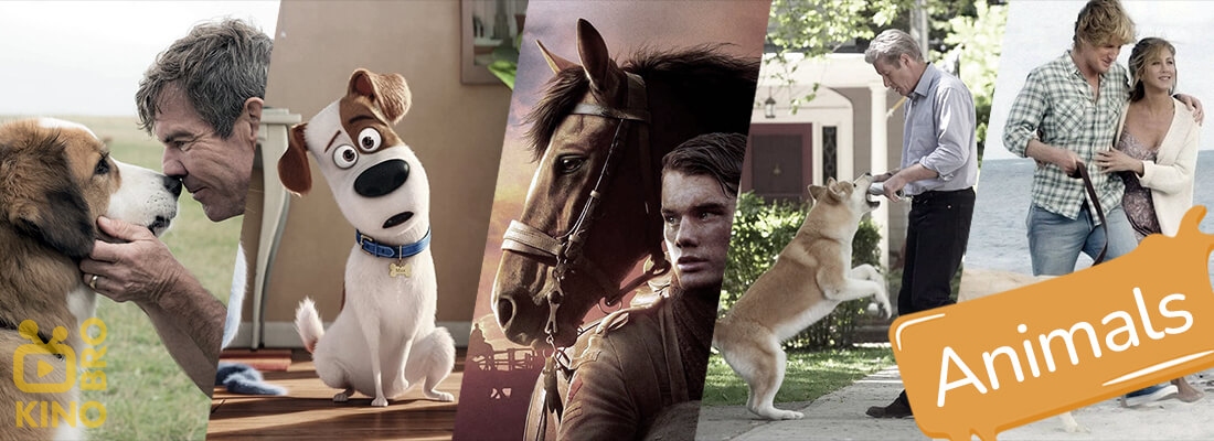 Image to the Animals on the Big Screen: ranking the top 5 movies page