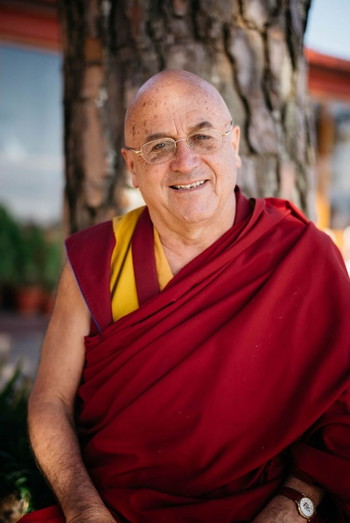 Photo of actor Matthieu Ricard