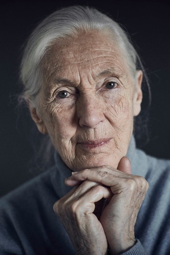 Photo of actress Jane Goodall