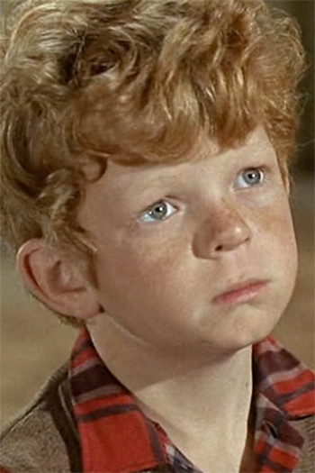 Photo of actor Johnny Whitaker